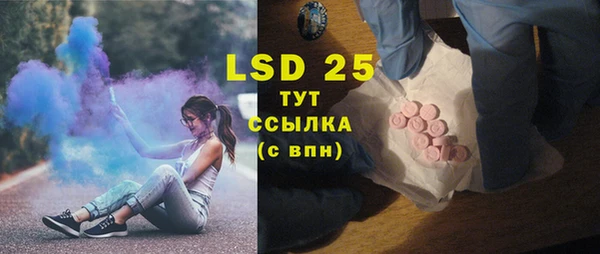 ГАЛЛЮЦИНОГЕННЫЕ ГРИБЫ Осташков