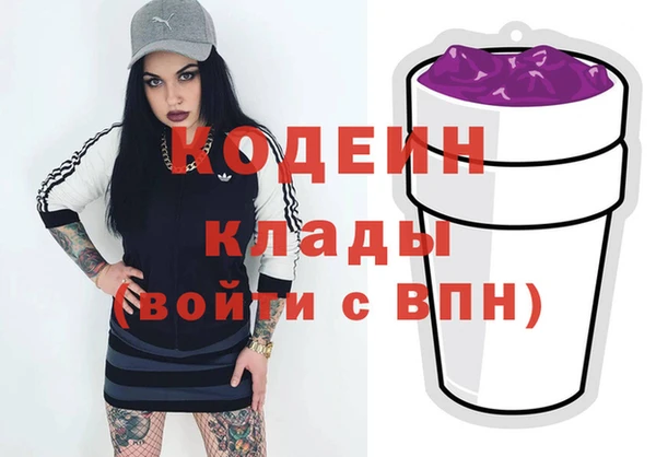 бошки Пересвет