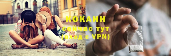 винт Абаза