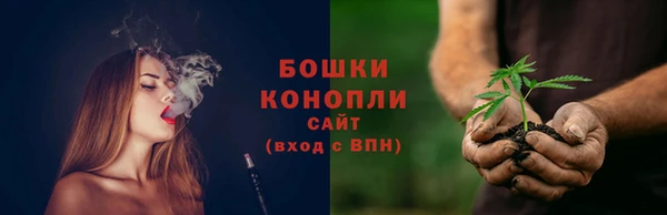 ГАЛЛЮЦИНОГЕННЫЕ ГРИБЫ Осташков
