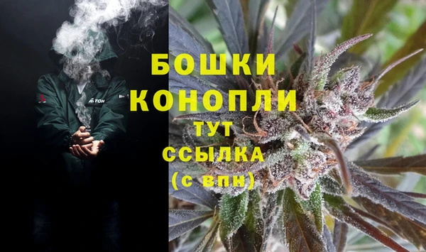 ГАЛЛЮЦИНОГЕННЫЕ ГРИБЫ Осташков