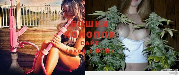 амф Ельня
