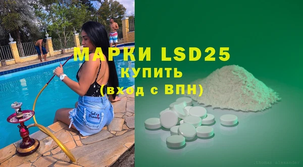 ГАЛЛЮЦИНОГЕННЫЕ ГРИБЫ Осташков