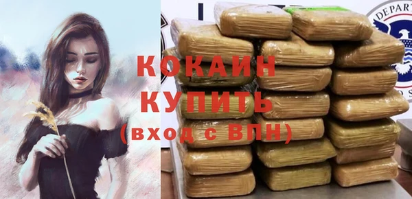 дмт Осинники