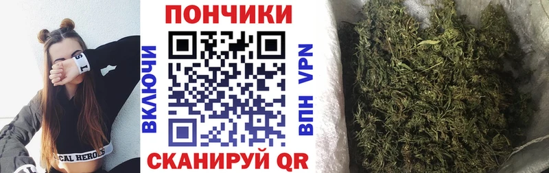 дарнет шоп  Советский  Шишки марихуана планчик 